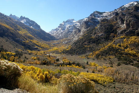 Lamoille Canyon in the Ruby Mountains.